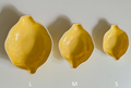 EPOK 黃檸檬醬料碟 - 3尺寸