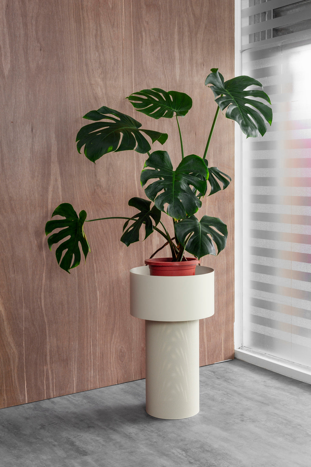 PEDESTAL Box - 米白